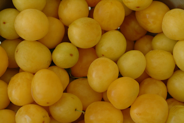 Yellow Plums