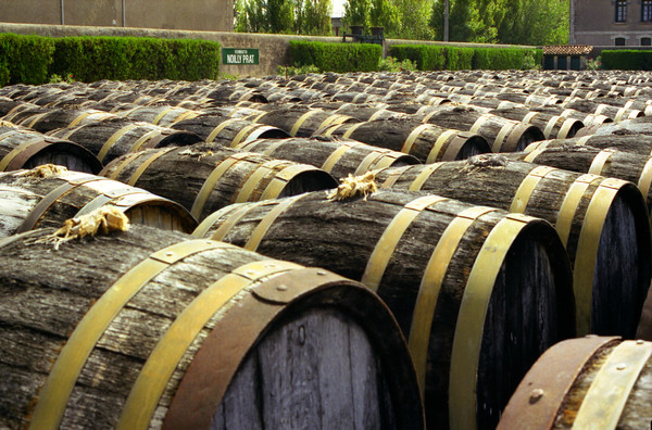 Noilly[1] 
 Fermenting Barrels at Noilly-Pratt distillery, Marseillan, France