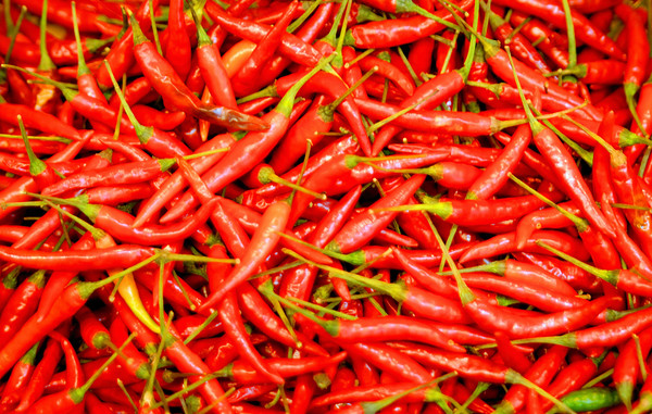 DSC 0021[1] 
 Red Chillies